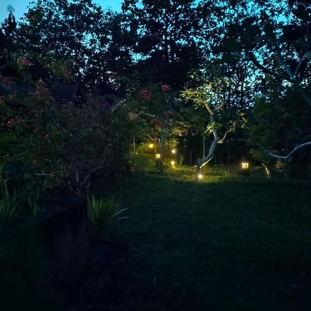 Bougainvillea Bungalow Batumadeg Exterior foto